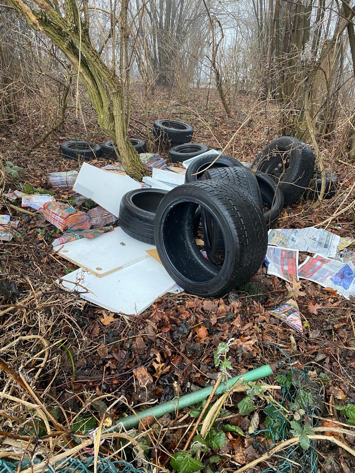 Weinheim: Old tires illegally dumped at Waidsee