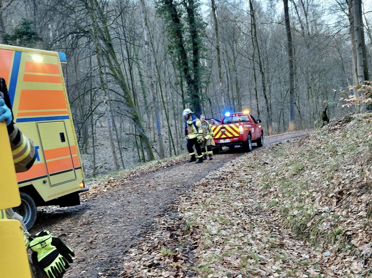 Helicopter deployed: Riding accident in Weinheim district