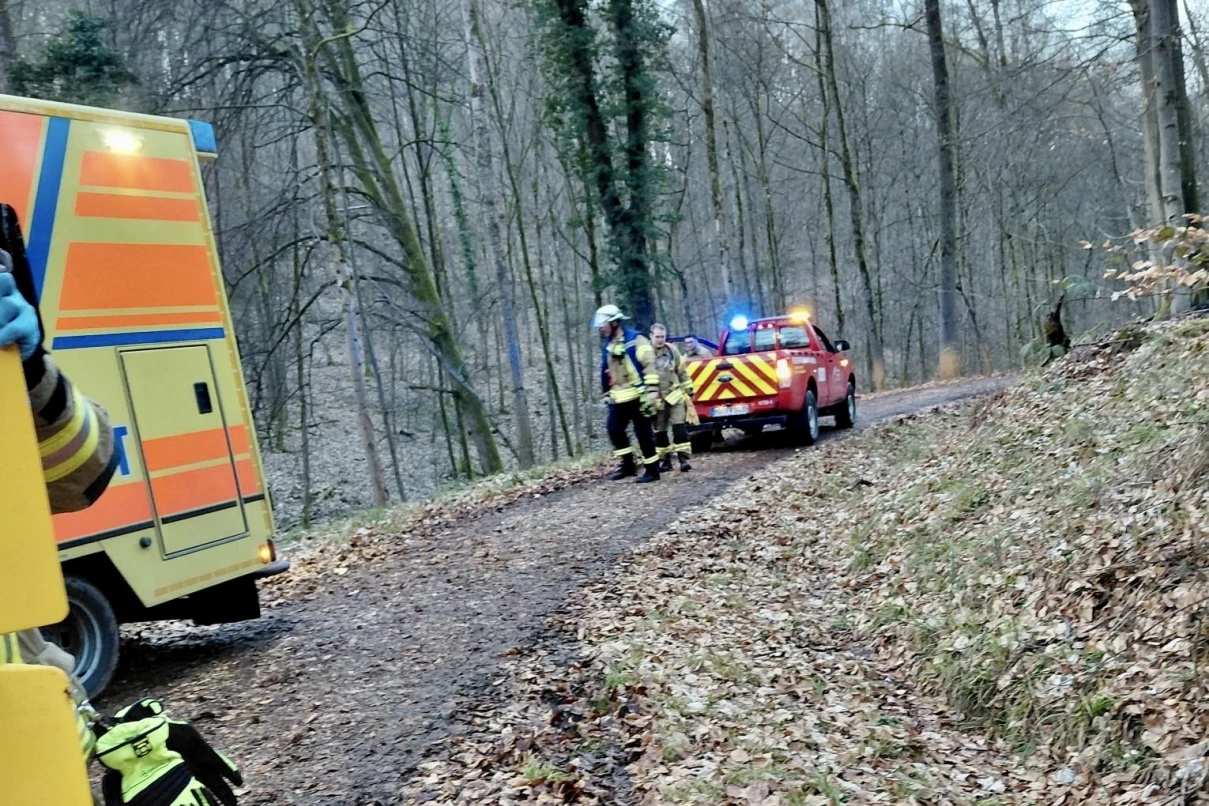 Helicopter deployed: Riding accident in Weinheim district