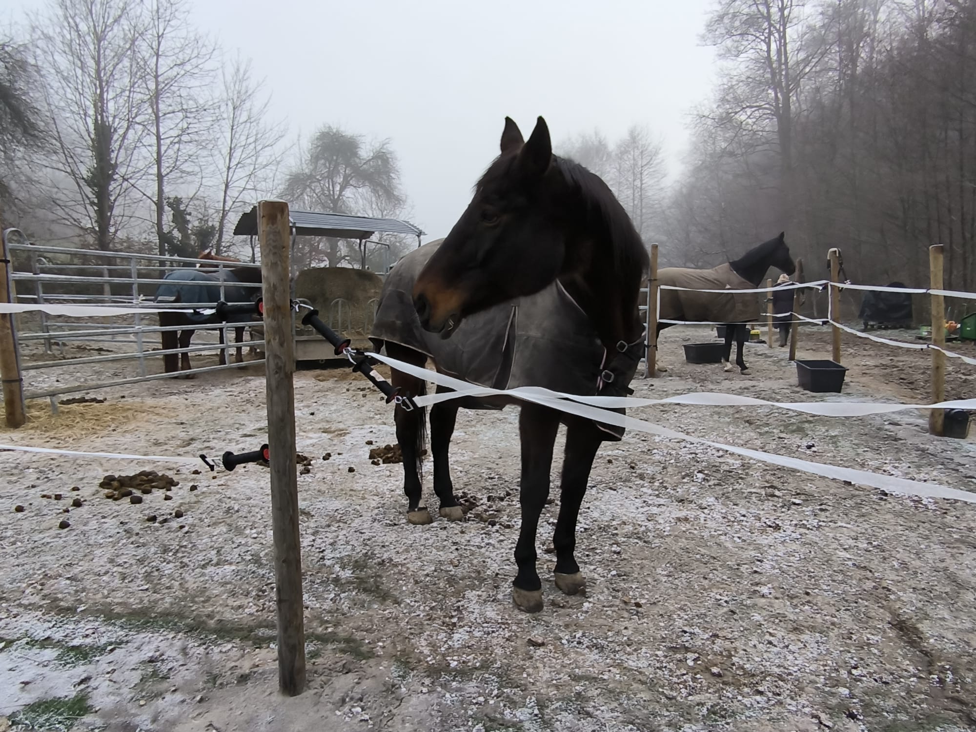 Teenager admitted to specialist clinic after fall from horse