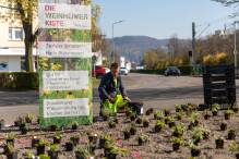 Stadt Weinheim startet Aktion gegen Schottergärten
