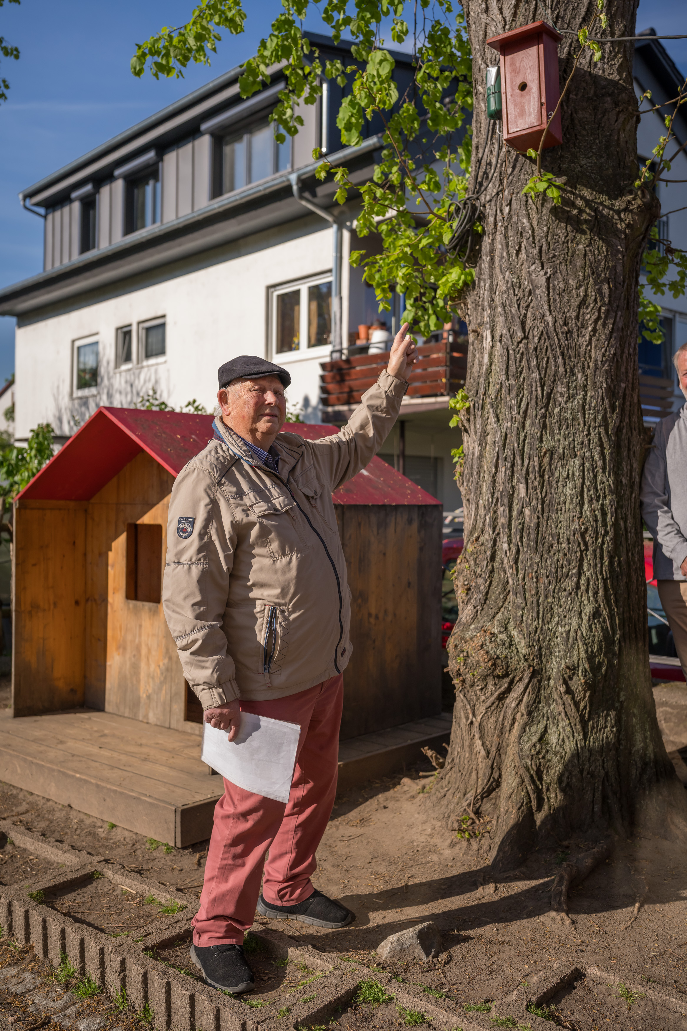 Hemsbach: Vogelnest an Goetheschule plötzlich ohne Eier