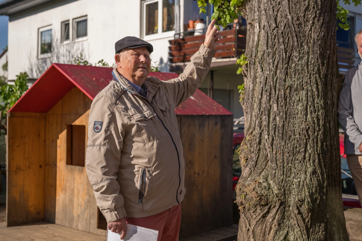 Hemsbach: Vogelnest an Goetheschule plötzlich ohne Eier